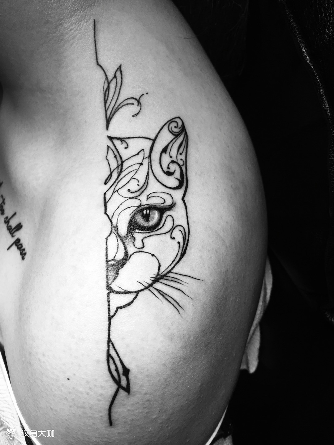 半脸猫_纹身图案手稿图片_紫龙的纹身作品集