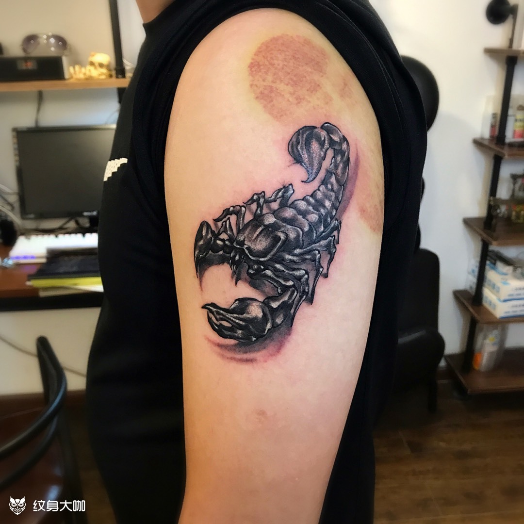 蝎子_纹身图案手稿图片_96的纹身作品集