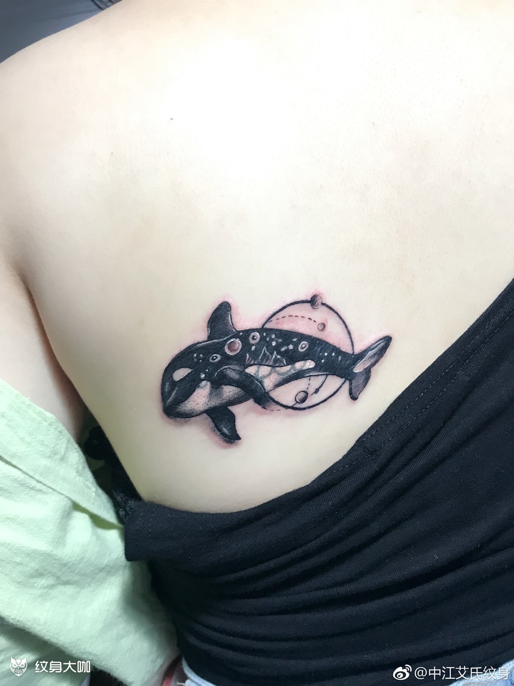 海豚遮盖_纹身图案手稿图片_坐者的纹身作品集