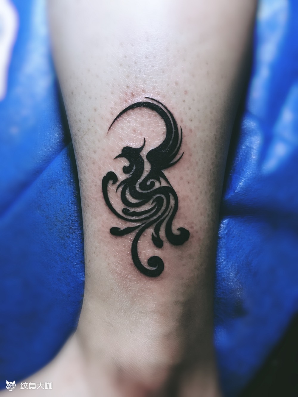 凤图腾_纹身图案手稿图片_李海龙的纹身作品集