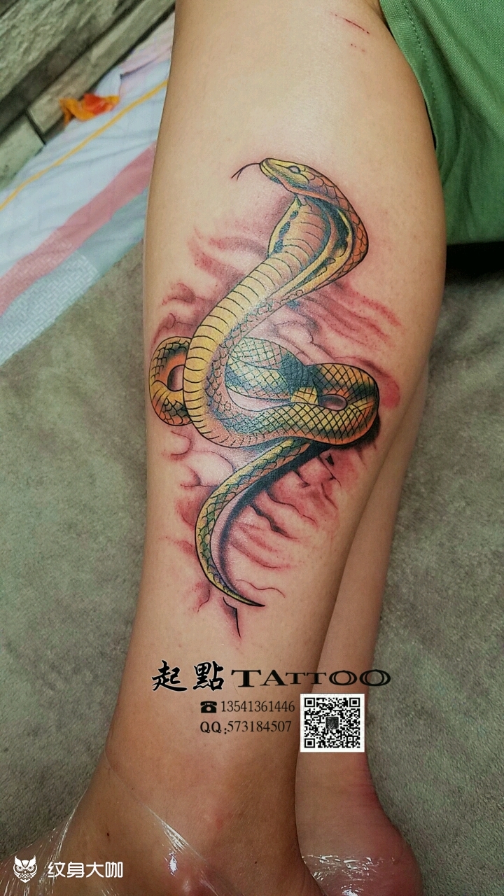 蛇97_纹身图案手稿图片_筱波的纹身作品集