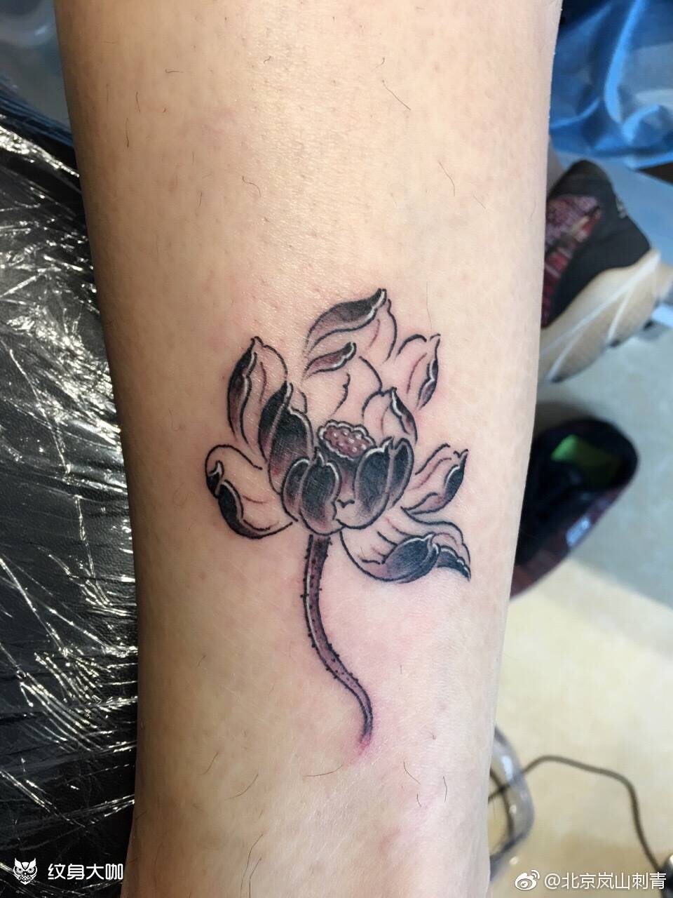 脚踝莲花_纹身图案手稿图片_王烽的纹身作品集