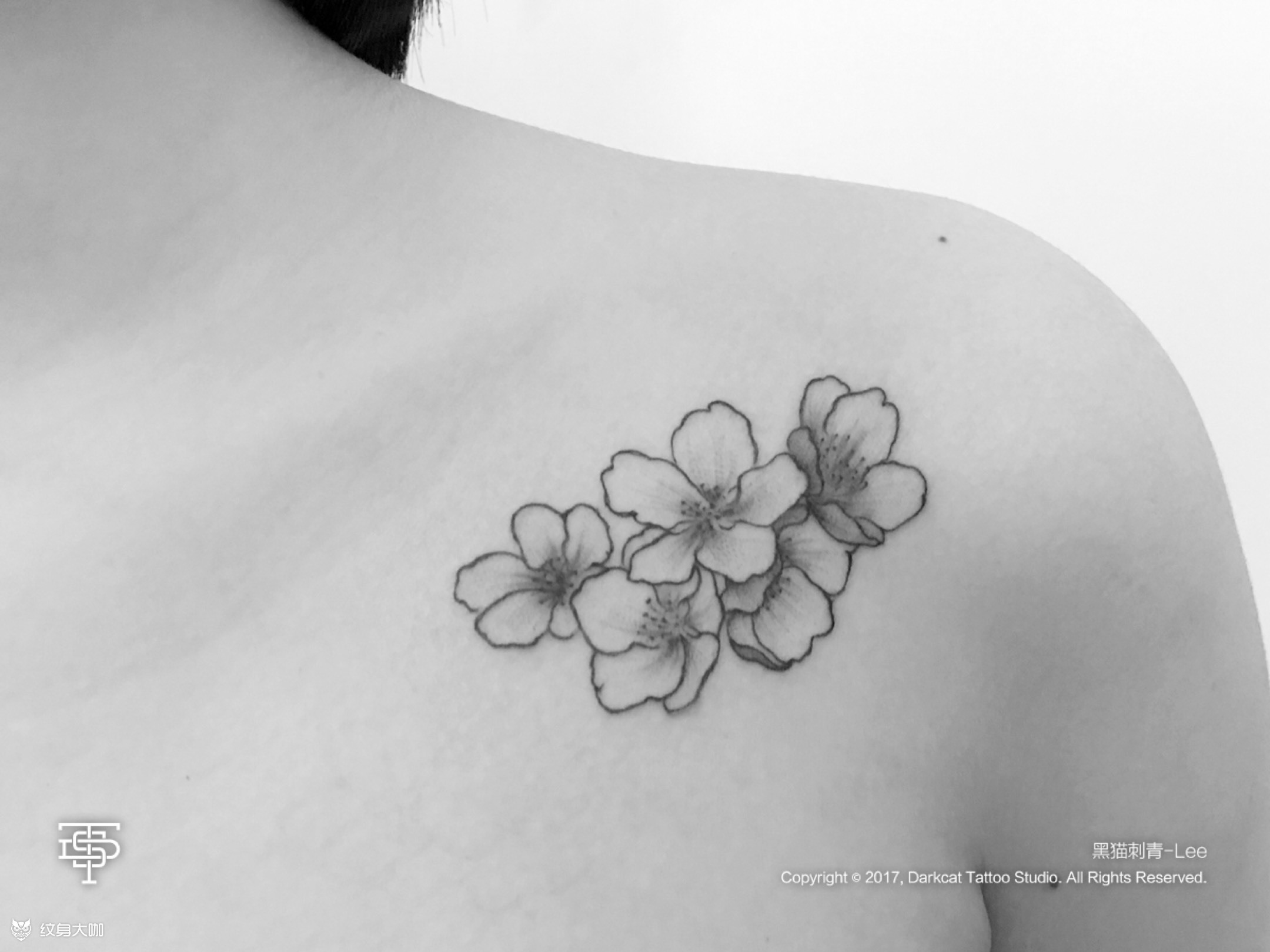 小清新樱花_纹身图案手稿图片_dts-lee的纹身作品集