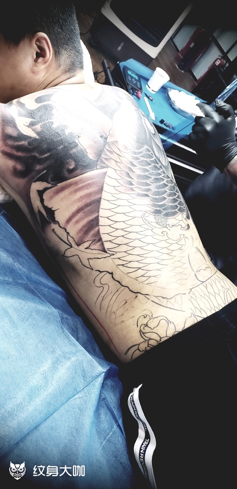 满背大鲤鱼_纹身图案手稿图片_温潇的纹身作品集