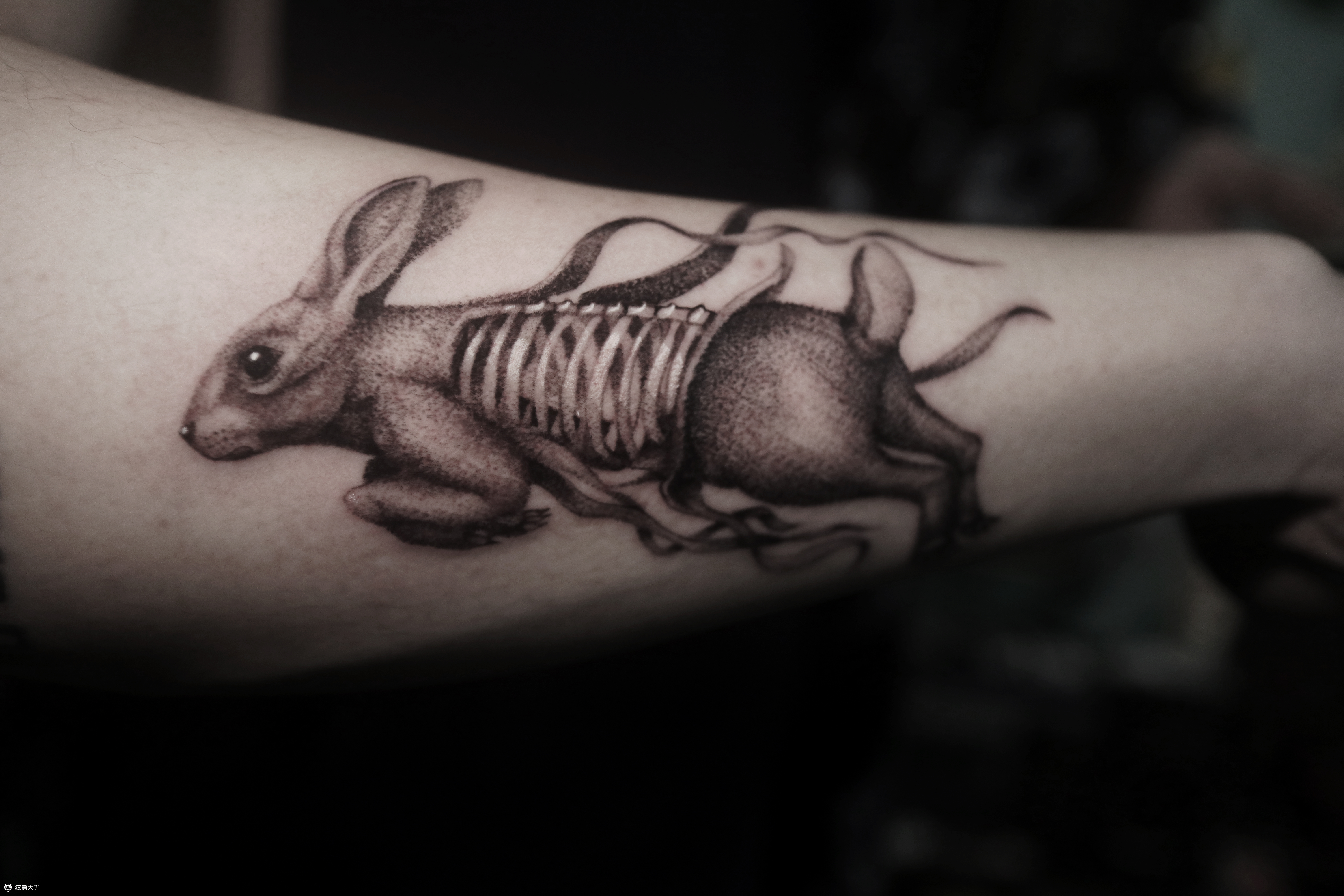 未知死亡_纹身图案手稿图片_覌正的纹身作品集