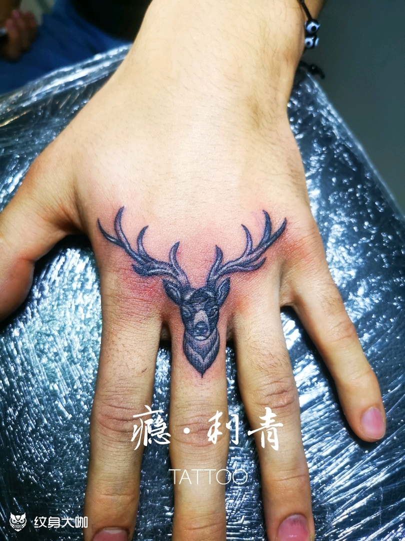 鹿头_纹身图案手稿图片_sunny 的纹身作品集