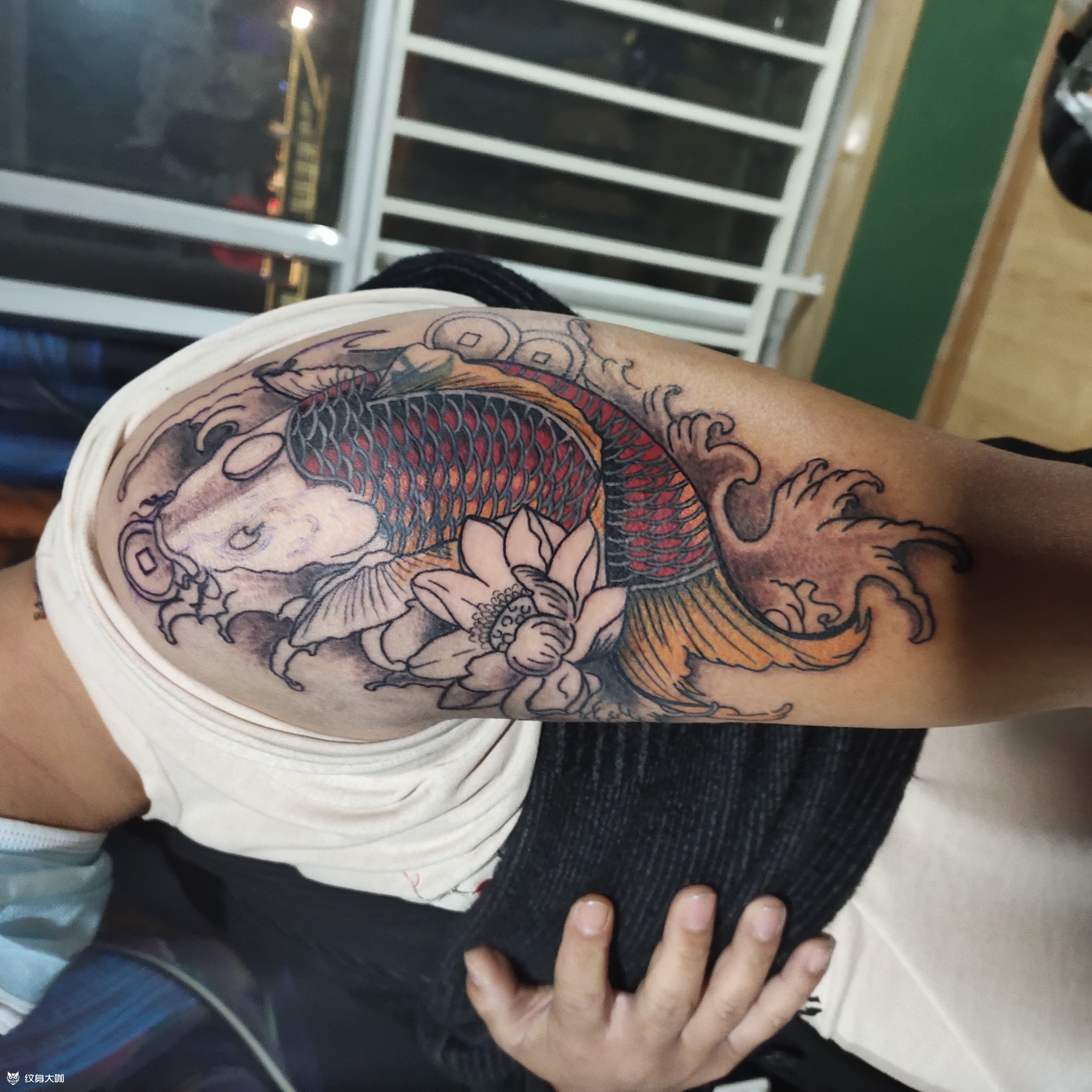 大臂鲤鱼未完成_纹身图案手稿图片_fox的纹身作品集