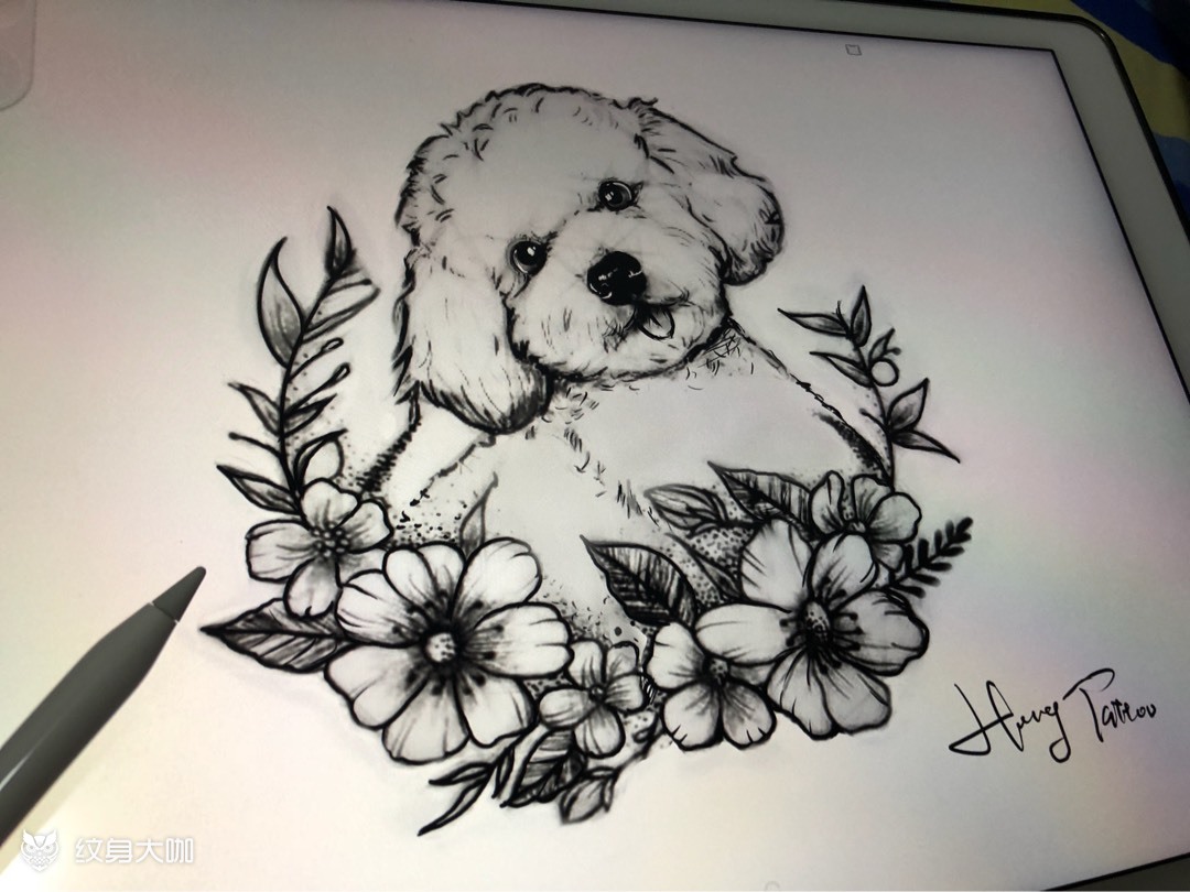泰迪_纹身图案手稿图片_沈家葓的纹身作品集