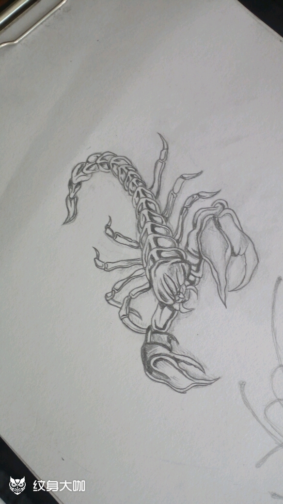 毒蝎简笔画图片