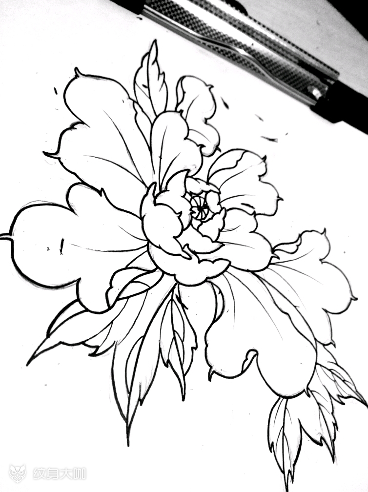 牡丹_纹身图案手稿图片_向松霞的纹身作品集