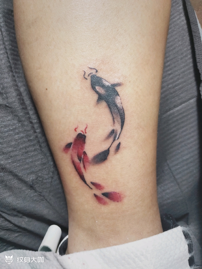 阴阳鱼_纹身图案手稿图片_大怪的纹身作品集