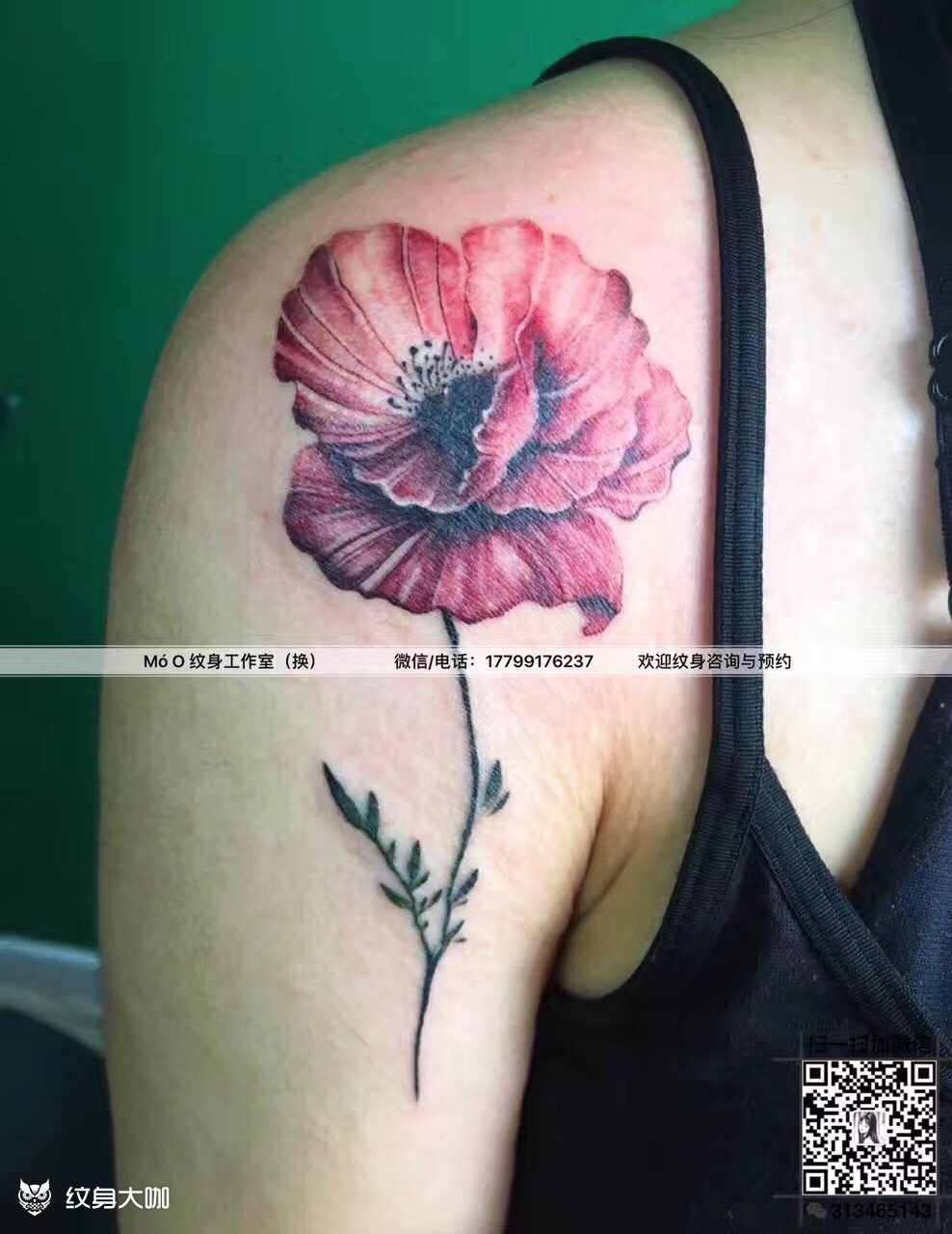 罂粟花_纹身图案手稿图片_野良的纹身作品集