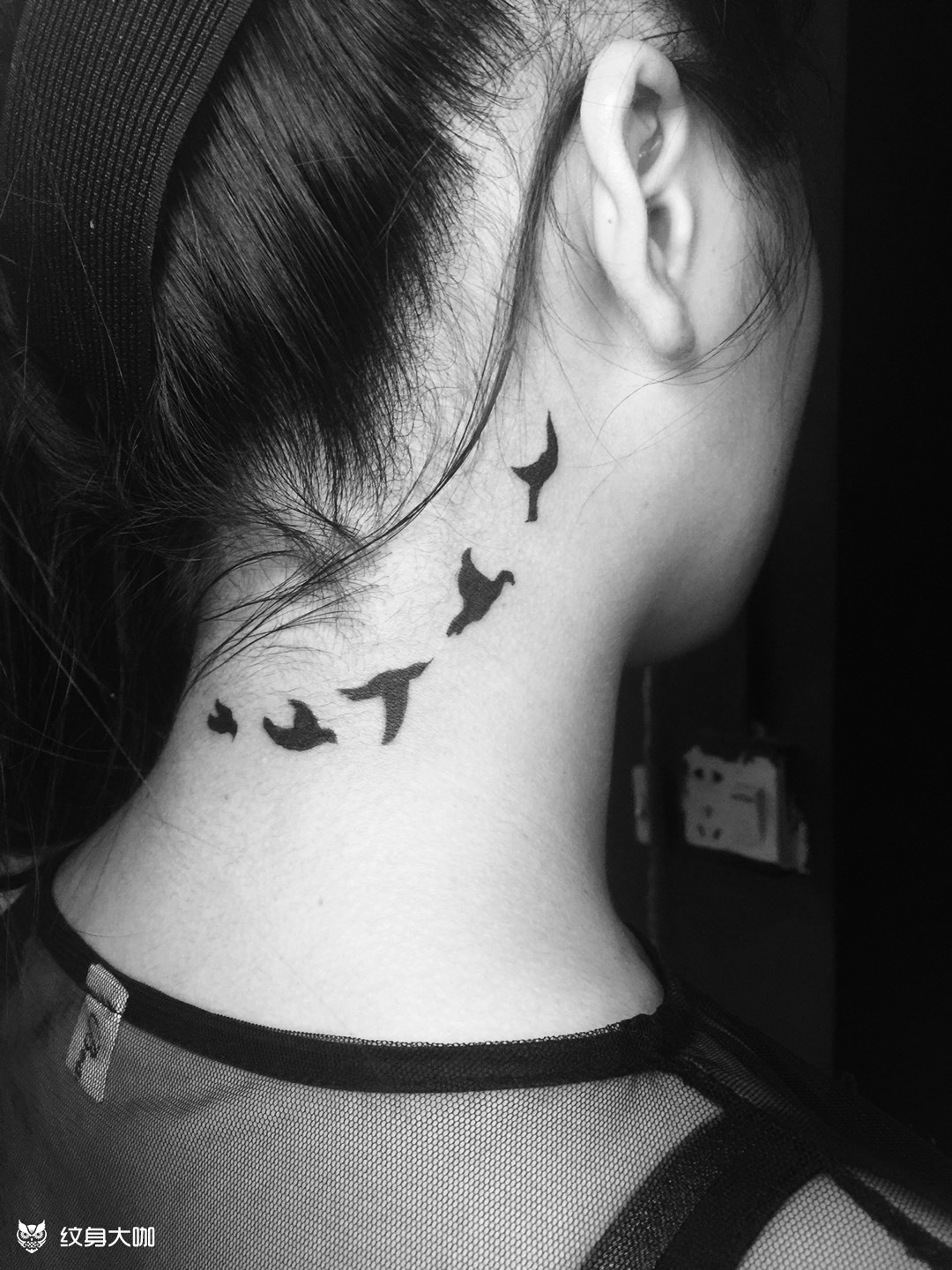 海鸥_纹身图案手稿图片_许海蒂的纹身作品集