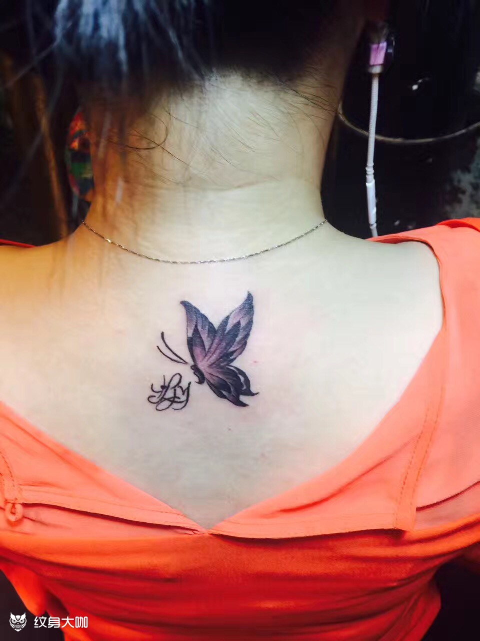 背部蝴蝶_纹身图案手稿图片_鹤针堂的纹身作品集