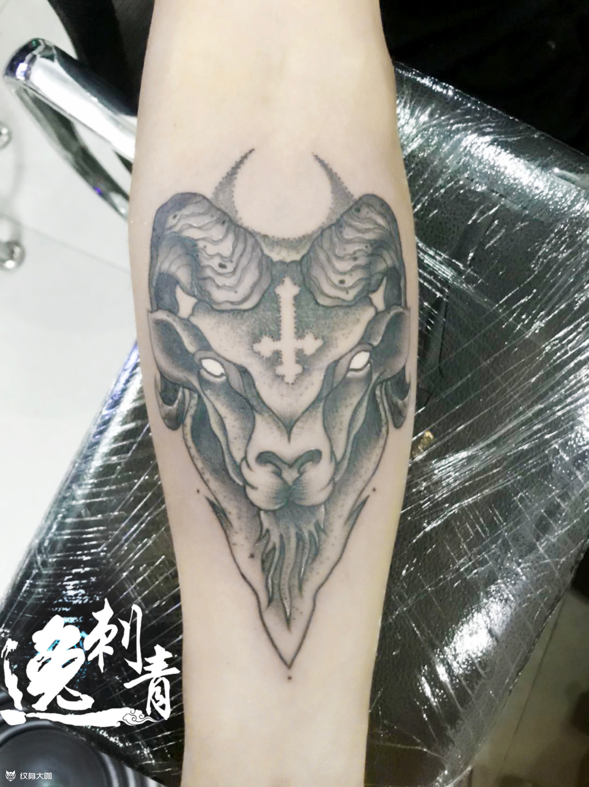 羊头_纹身图案手稿图片_逸-的纹身作品集