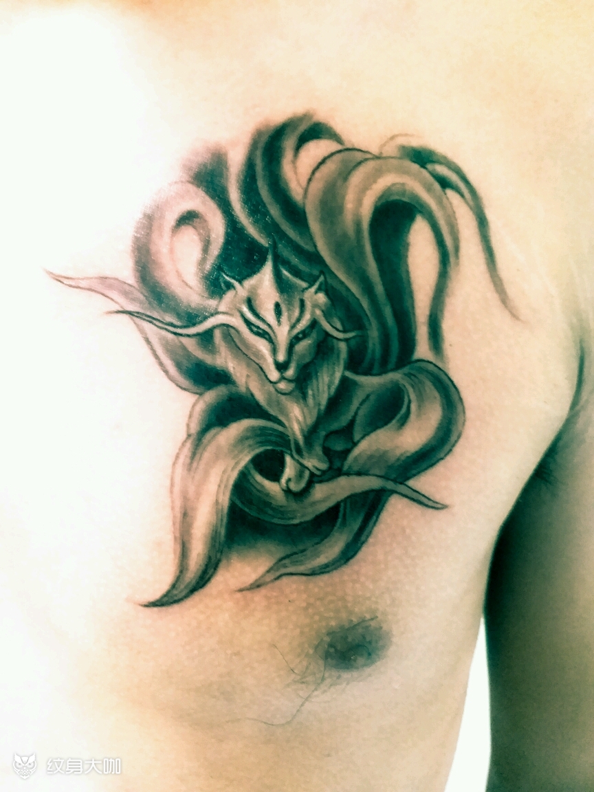 九尾狐_纹身图案手稿图片_pogo的纹身作品集