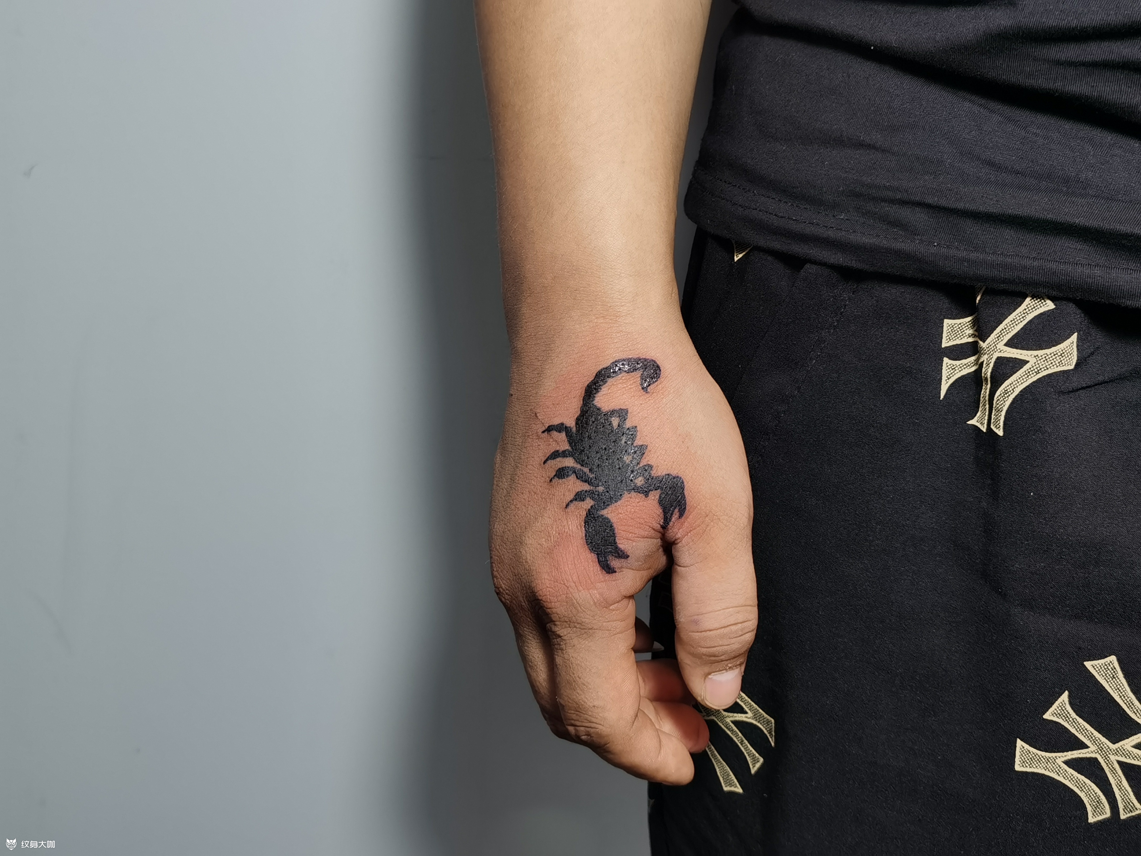 手背蝎子_纹身图案手稿图片_张鹏的纹身作品集