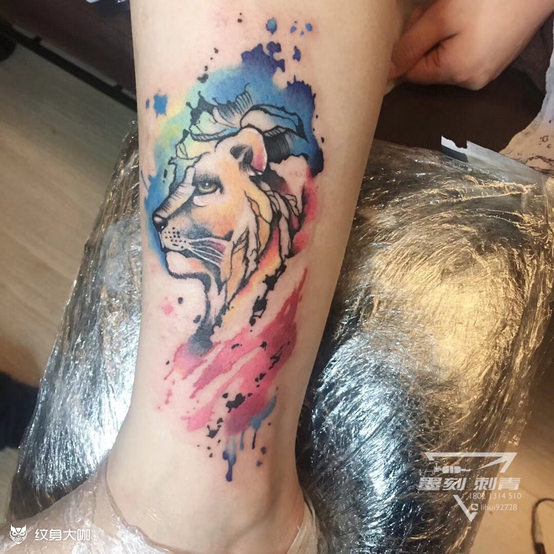 泼墨 写实狮子_纹身图案手稿图片_雷锋的纹身作品集