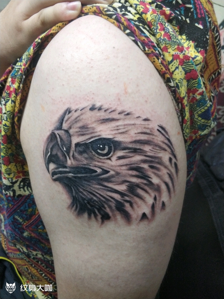 大臂鹰头_纹身图案手稿图片_回山此木的纹身作品集