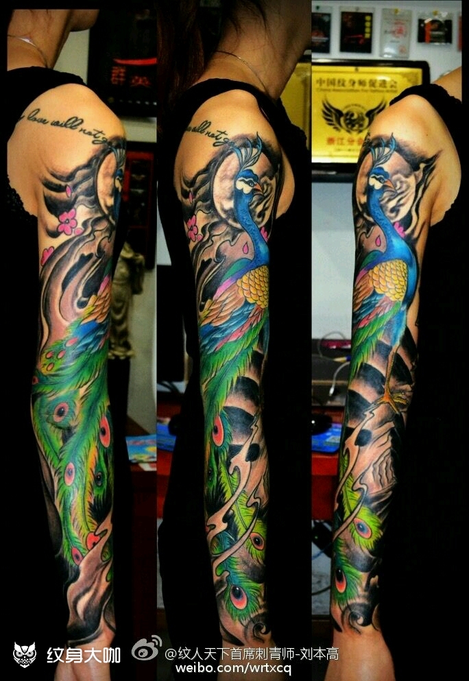 花臂纹身 孔雀_纹身图案手稿图片_刺客的纹身作品集