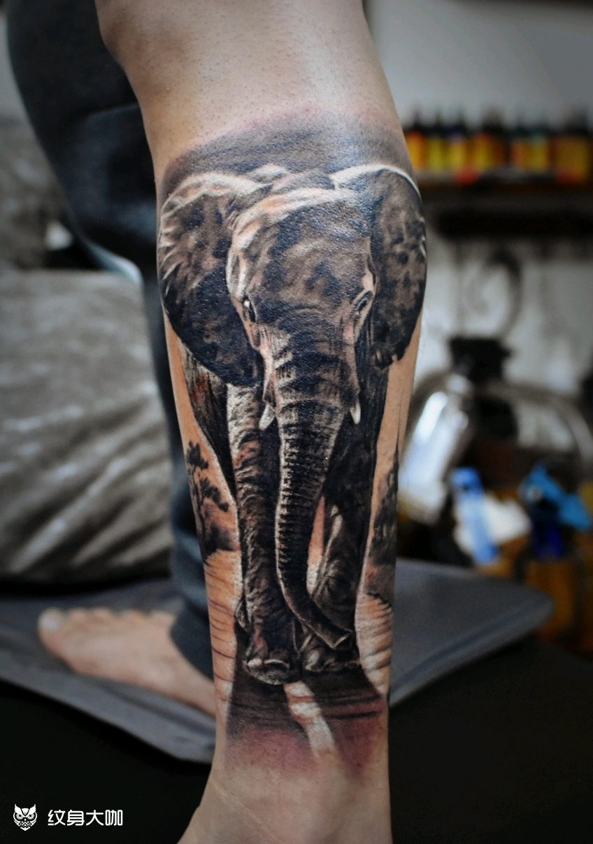 《大象归来》_纹身图案手稿图片_old liu 的纹身作品集