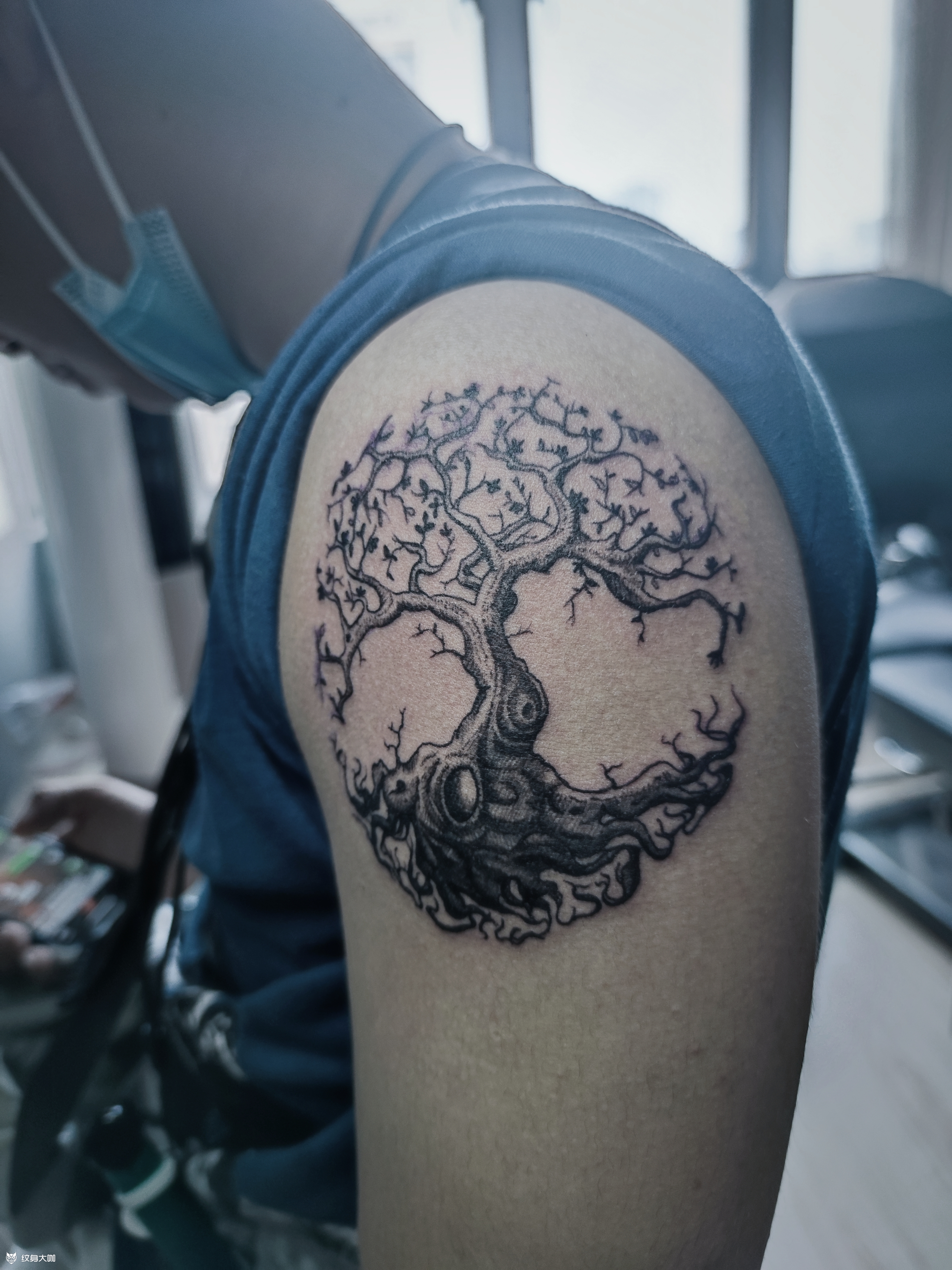 树_纹身图案手稿图片_赵力的纹身作品集