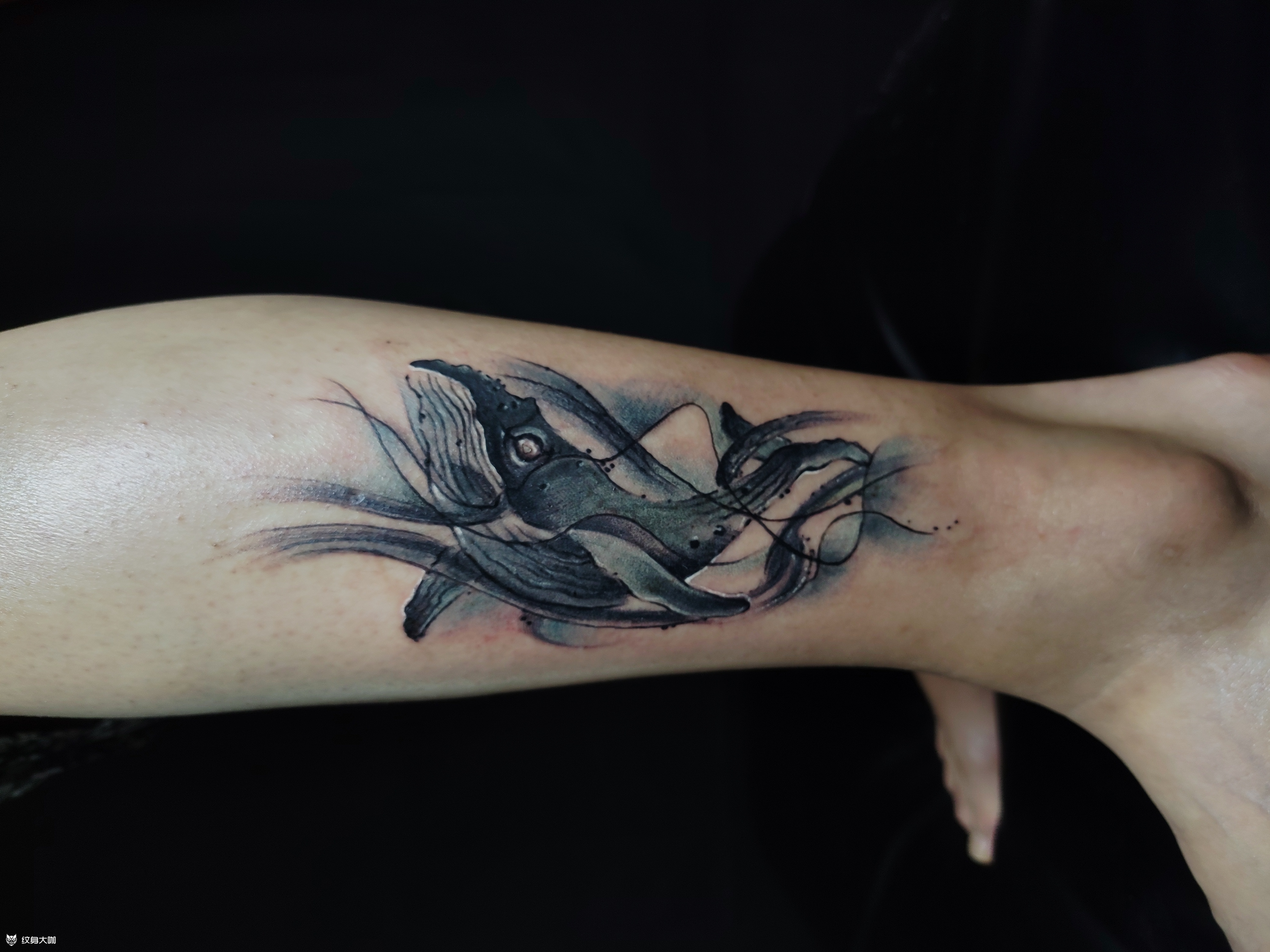 水墨鲸鱼95_纹身图案手稿图片_张露的纹身作品集