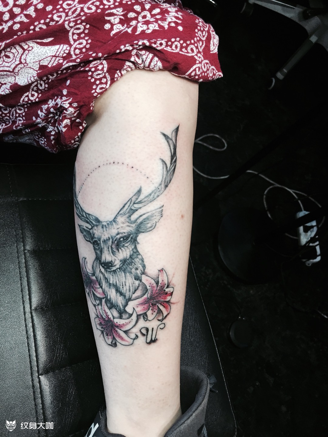 马鹿_纹身图案手稿图片_老海的纹身作品集