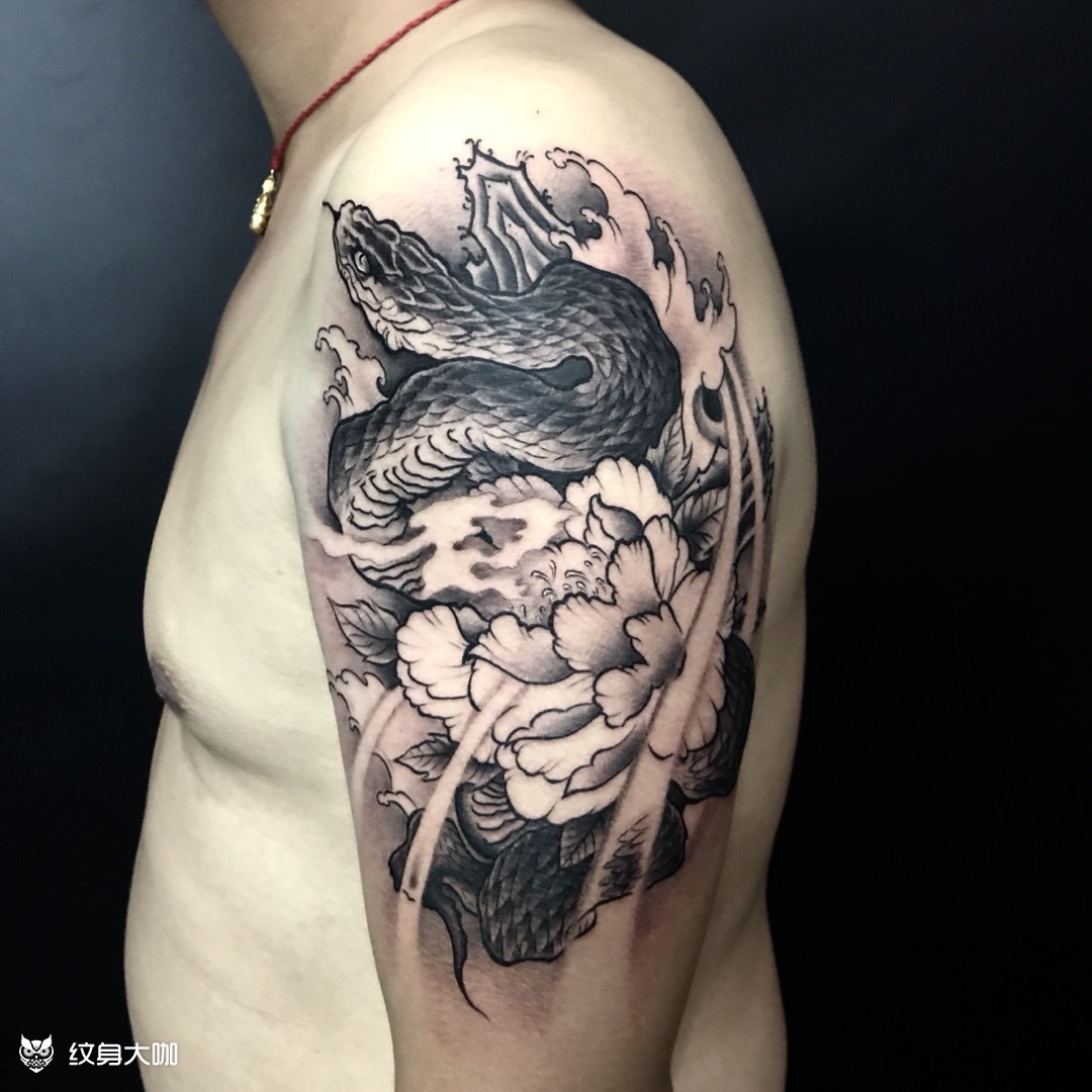 蛇盘牡丹_纹身图案手稿图片_王志刚的纹身作品集