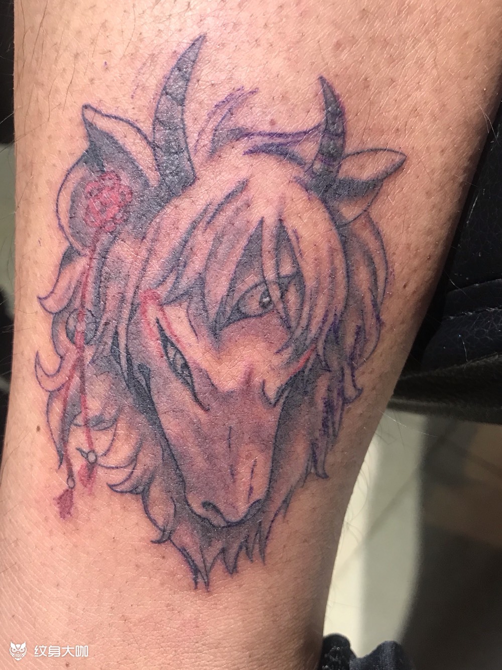 白泽_纹身图案手稿图片_千首的纹身作品集