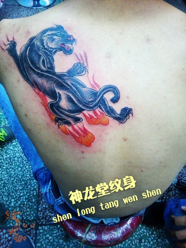 豹_纹身图案手稿图片_勾永江的纹身作品集