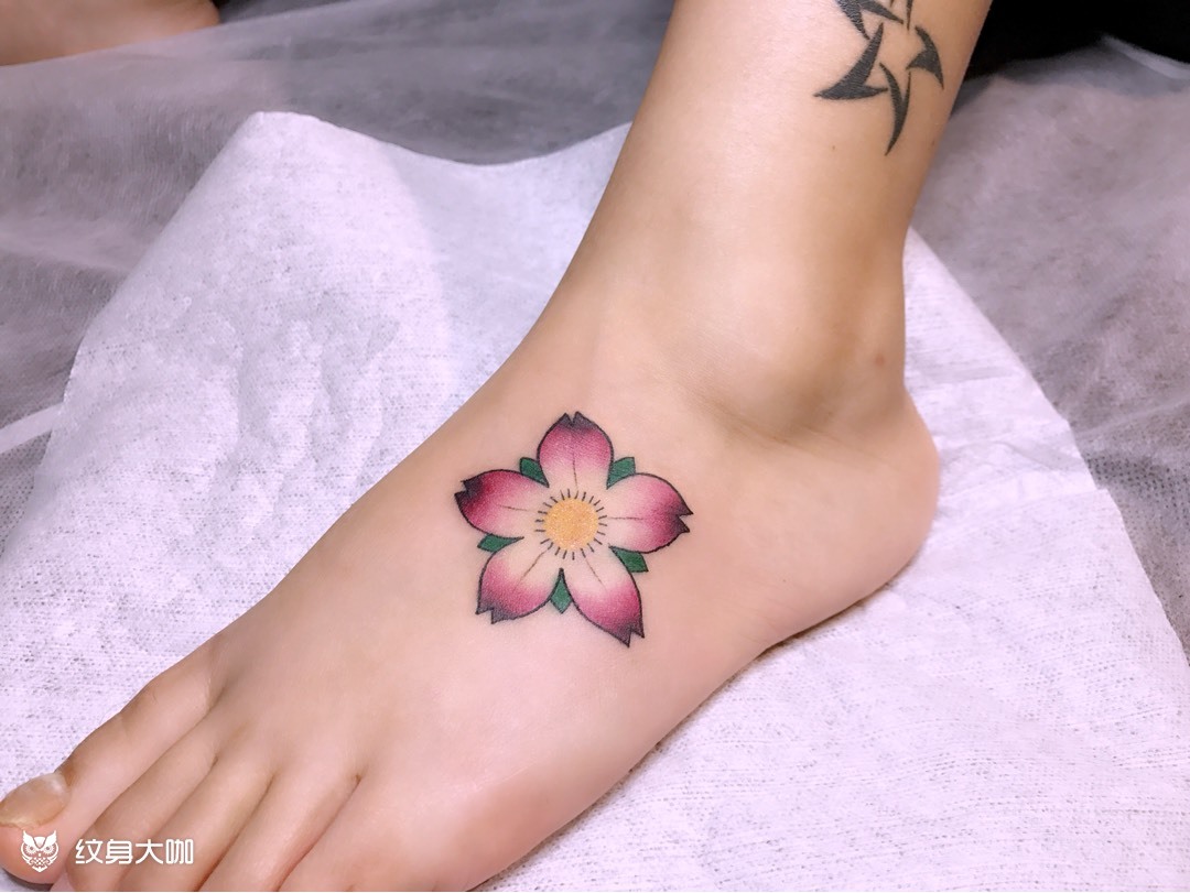 脚背樱花_纹身图案手稿图片_鹤鸣的纹身作品集