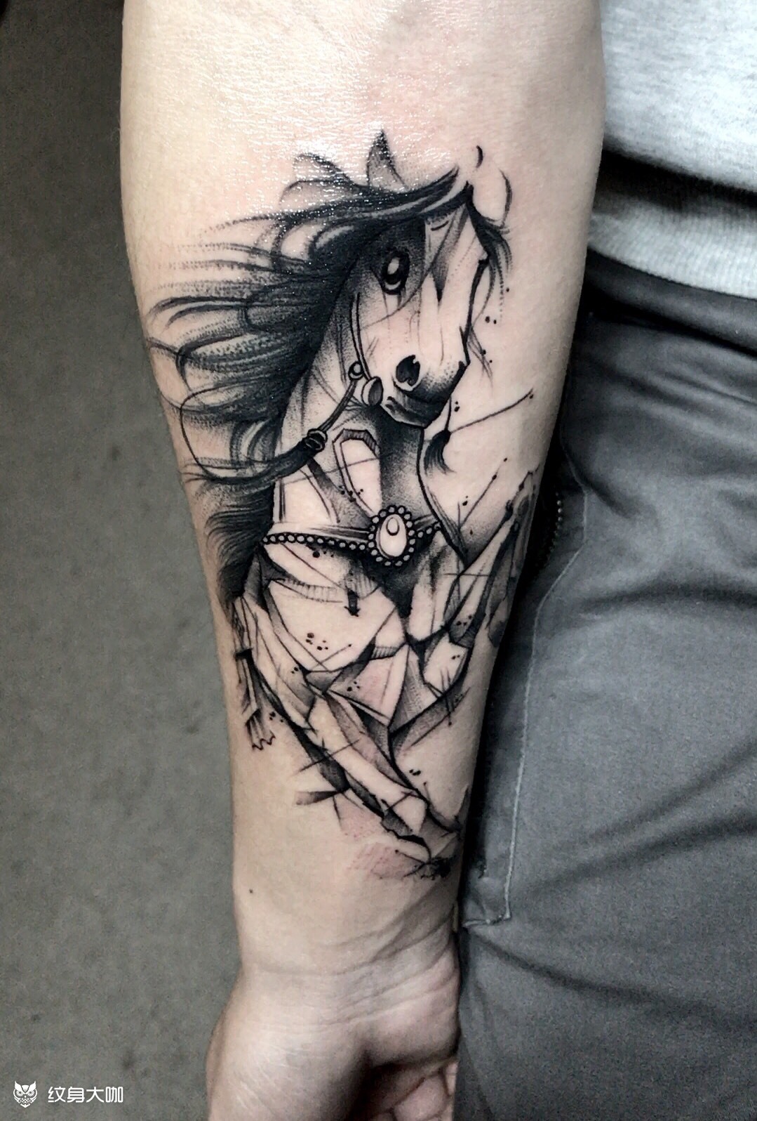 小马驹_纹身图案手稿图片_大杨的纹身作品集