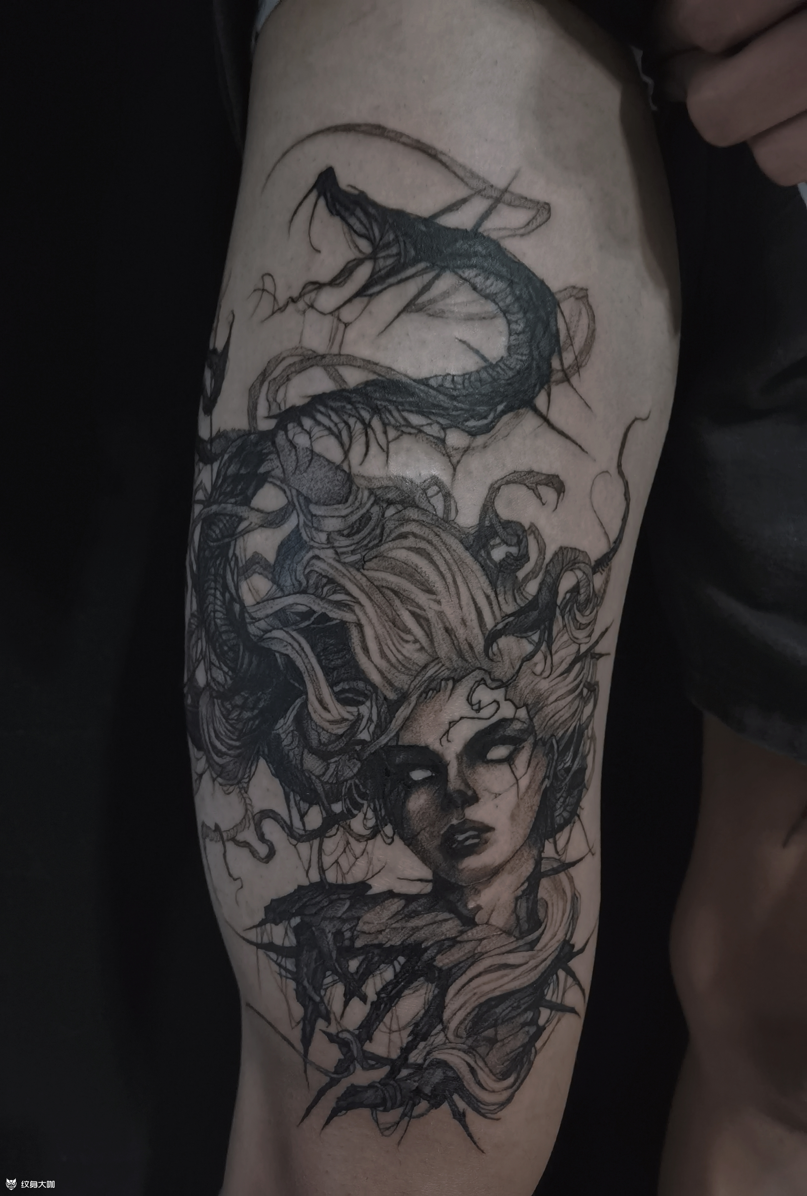 美杜莎_纹身吧社区 - 纹身大咖