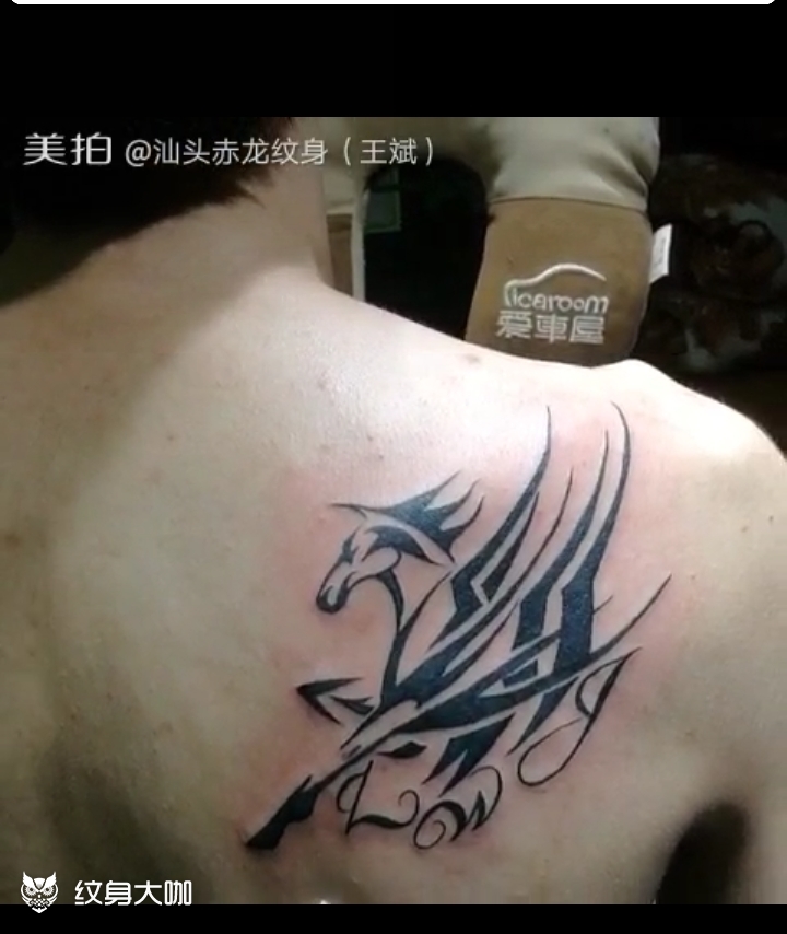 天马行空_纹身图案手稿图片_赤龙的纹身作品集