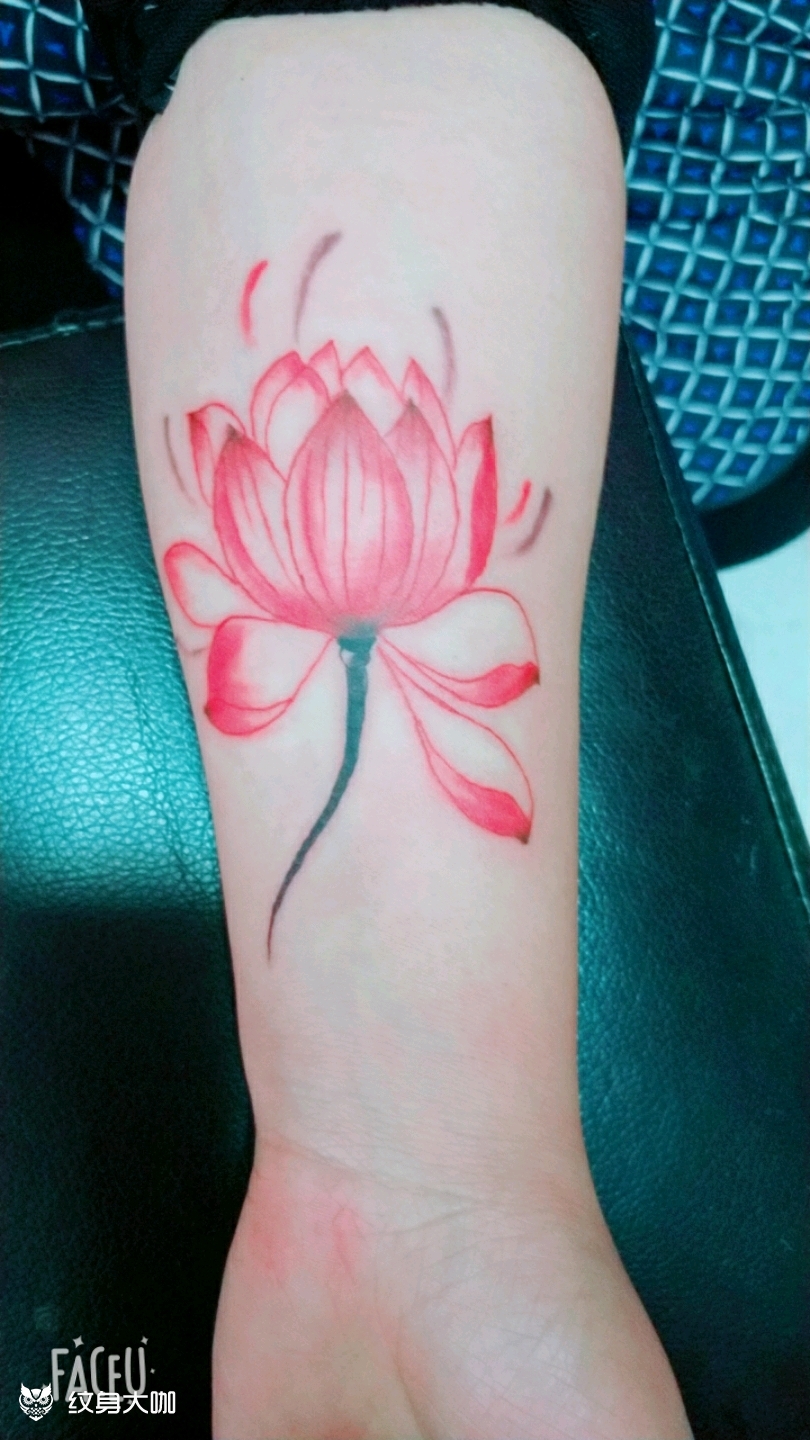 小臂荷花_纹身图案手稿图片_一禅的纹身作品集