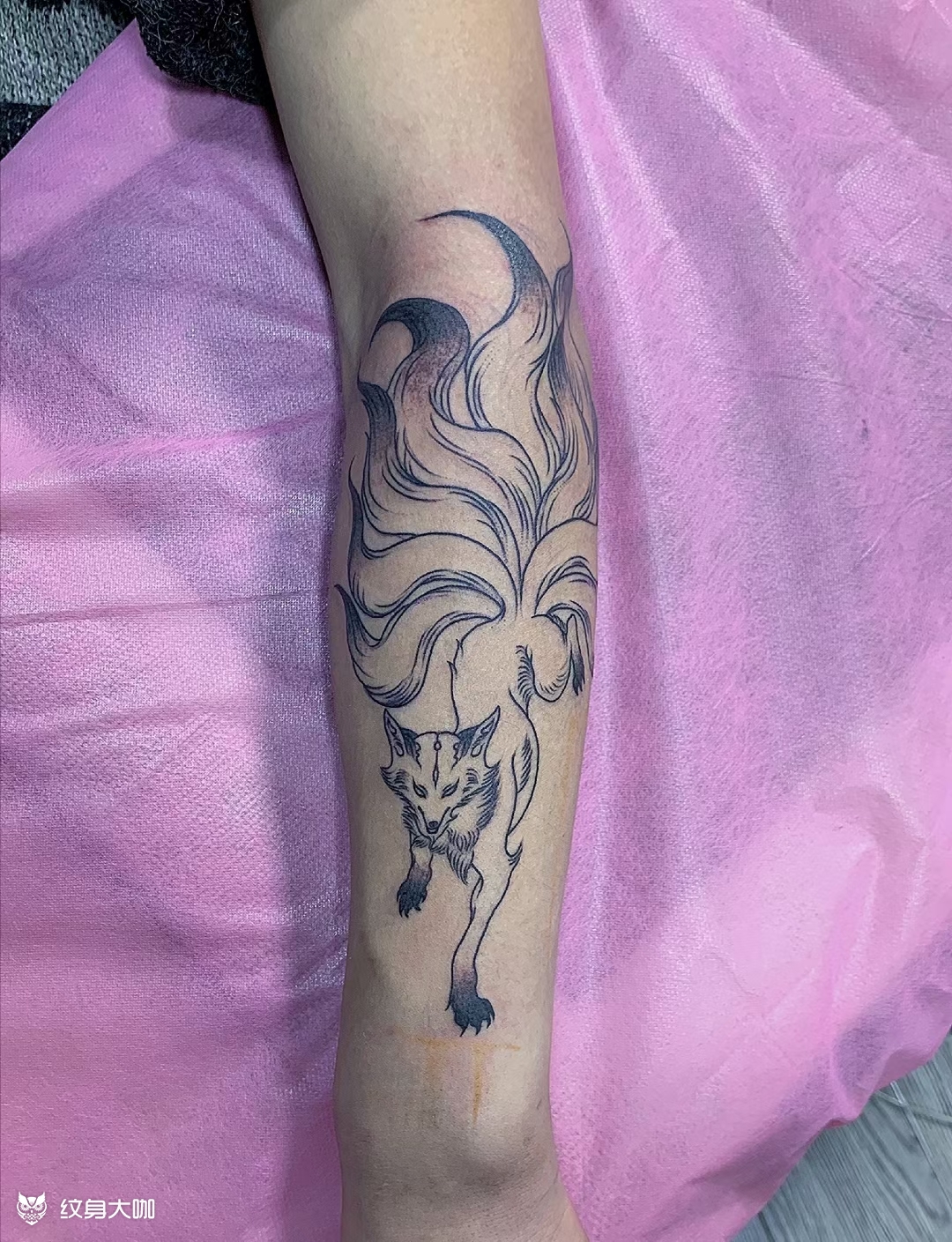 九尾_纹身图案手稿图片_毅刺的纹身作品集