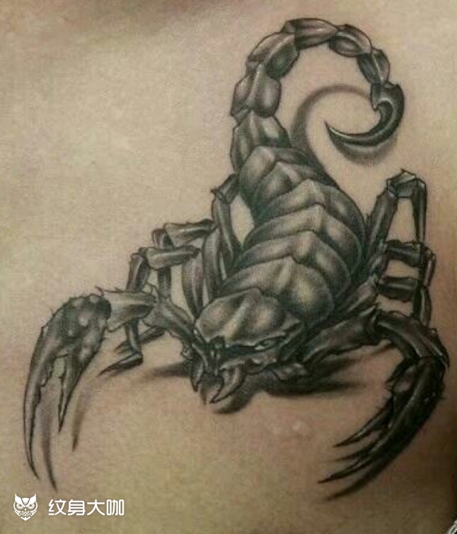 蝎子_纹身图案手稿图片_关关的纹身作品集