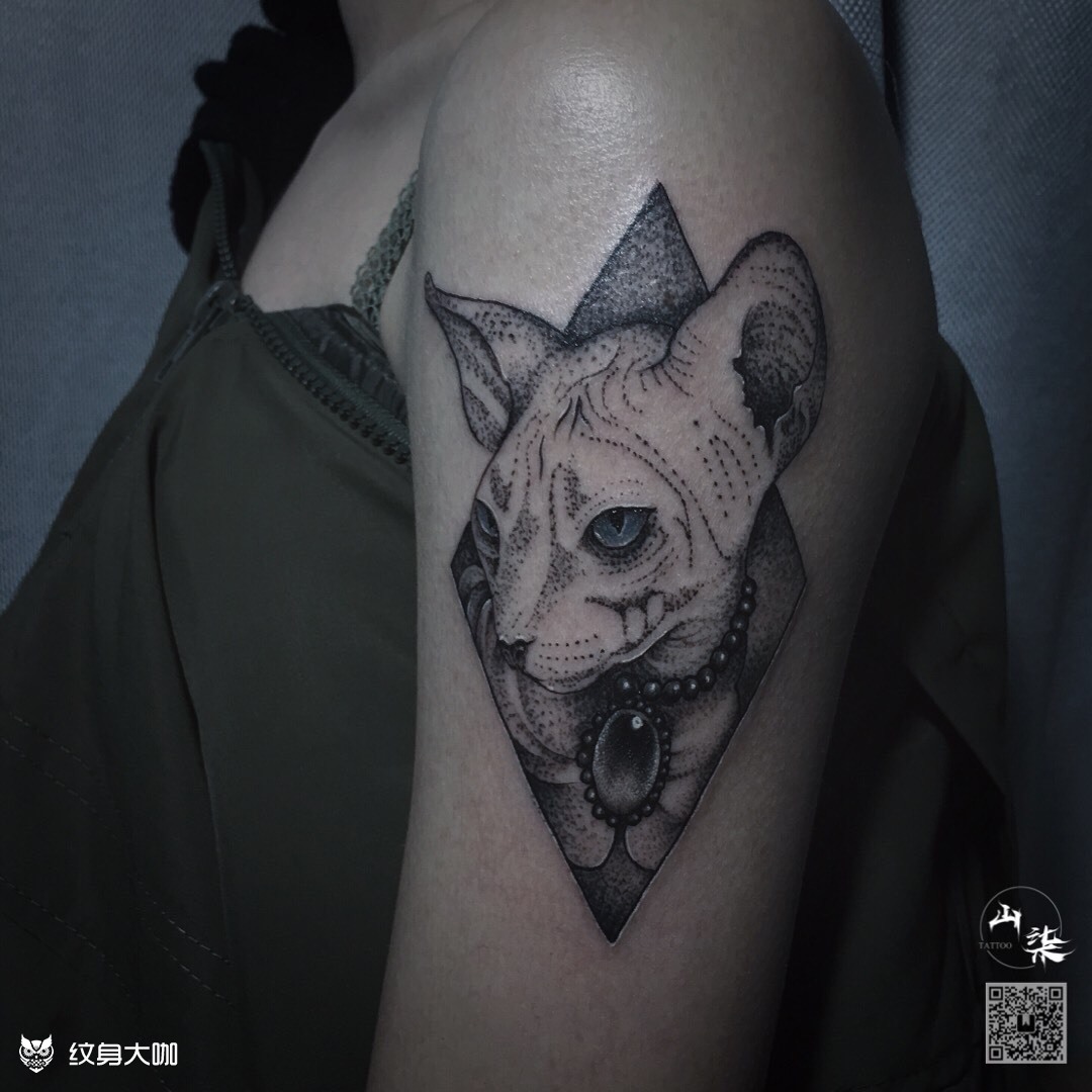 无毛猫_纹身图案手稿图片_双未的纹身作品集