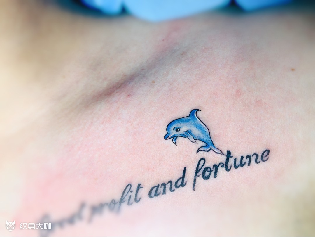 海豚98_纹身图案手稿图片_孟凡伟的纹身作品集