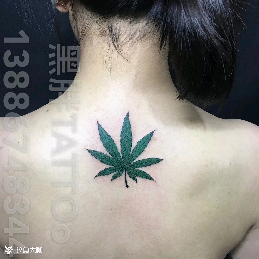 麻叶_纹身图案手稿图片_曾宪林的纹身作品集