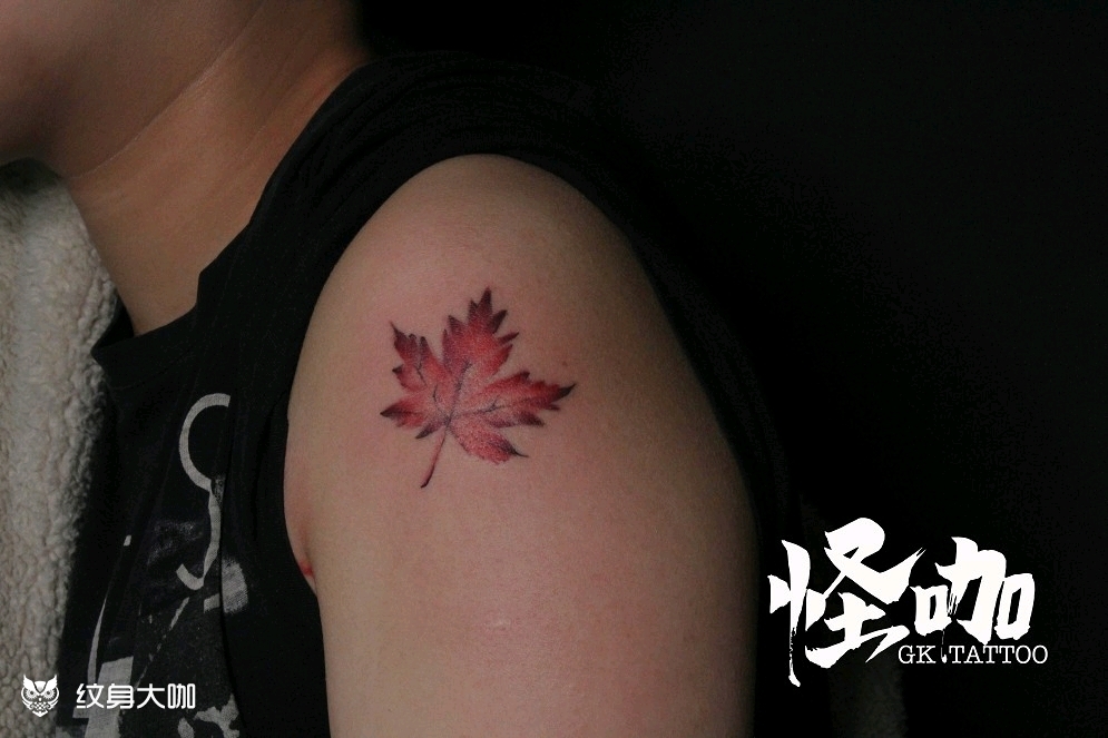 大臂枫叶_纹身图案手稿图片_新月newmoon.tattoo的纹身作品集