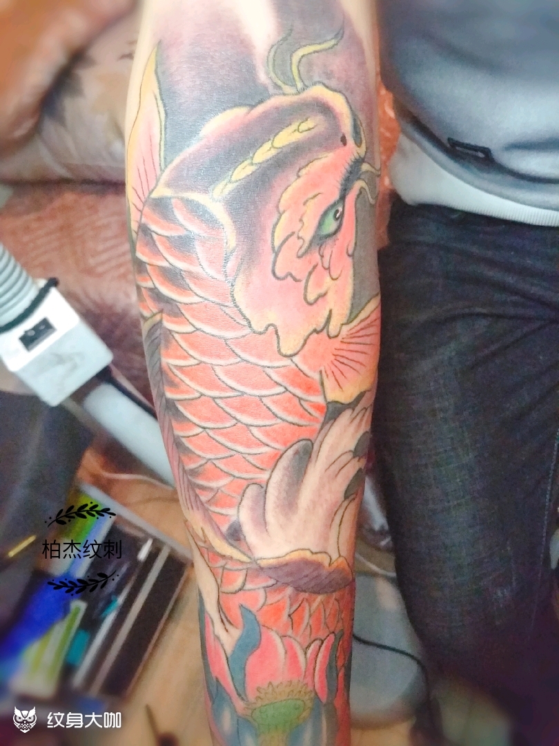 小臂锦鲤_纹身图案手稿图片_柏杰的纹身作品集