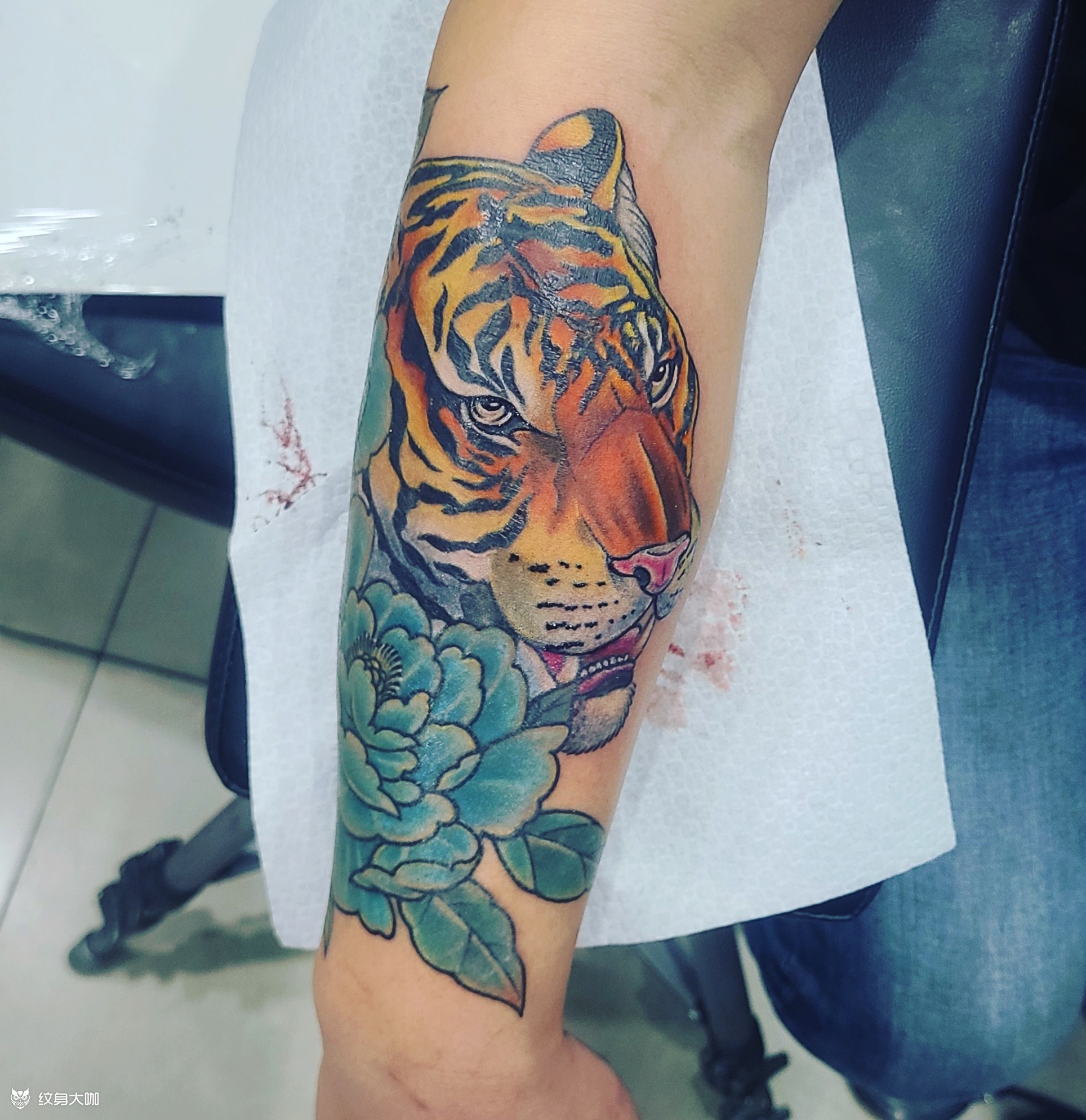 老虎花遮盖伤疤_纹身图案手稿图片_刘国栋的纹身作品集