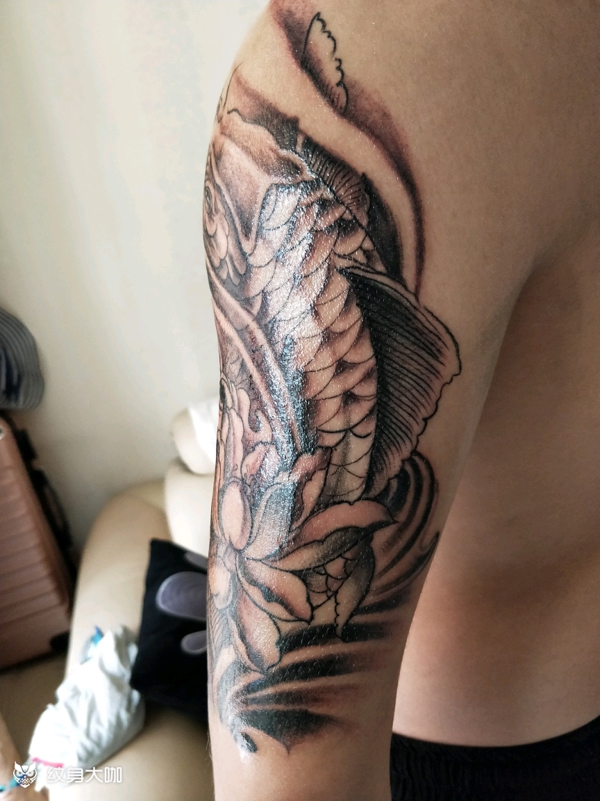 大臂鲤鱼_纹身图案手稿图片_大锐的纹身作品集