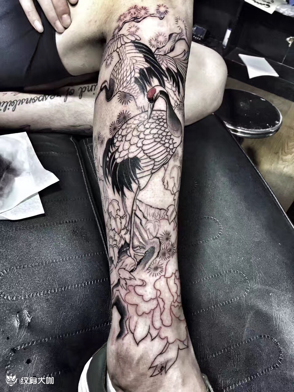 仙鹤,半成品_纹身图案手稿图片_静儿的纹身作品集