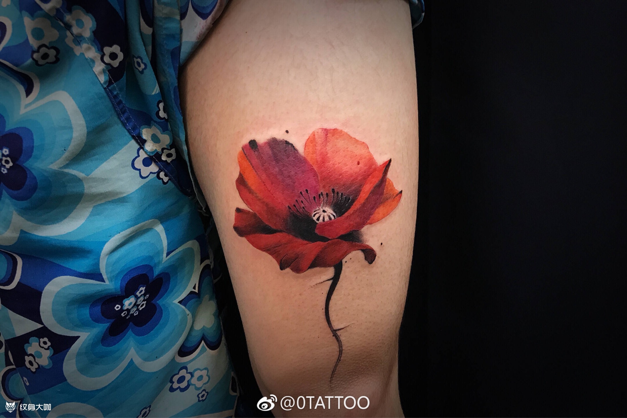 罂粟花_纹身图案手稿图片_七七的纹身作品集