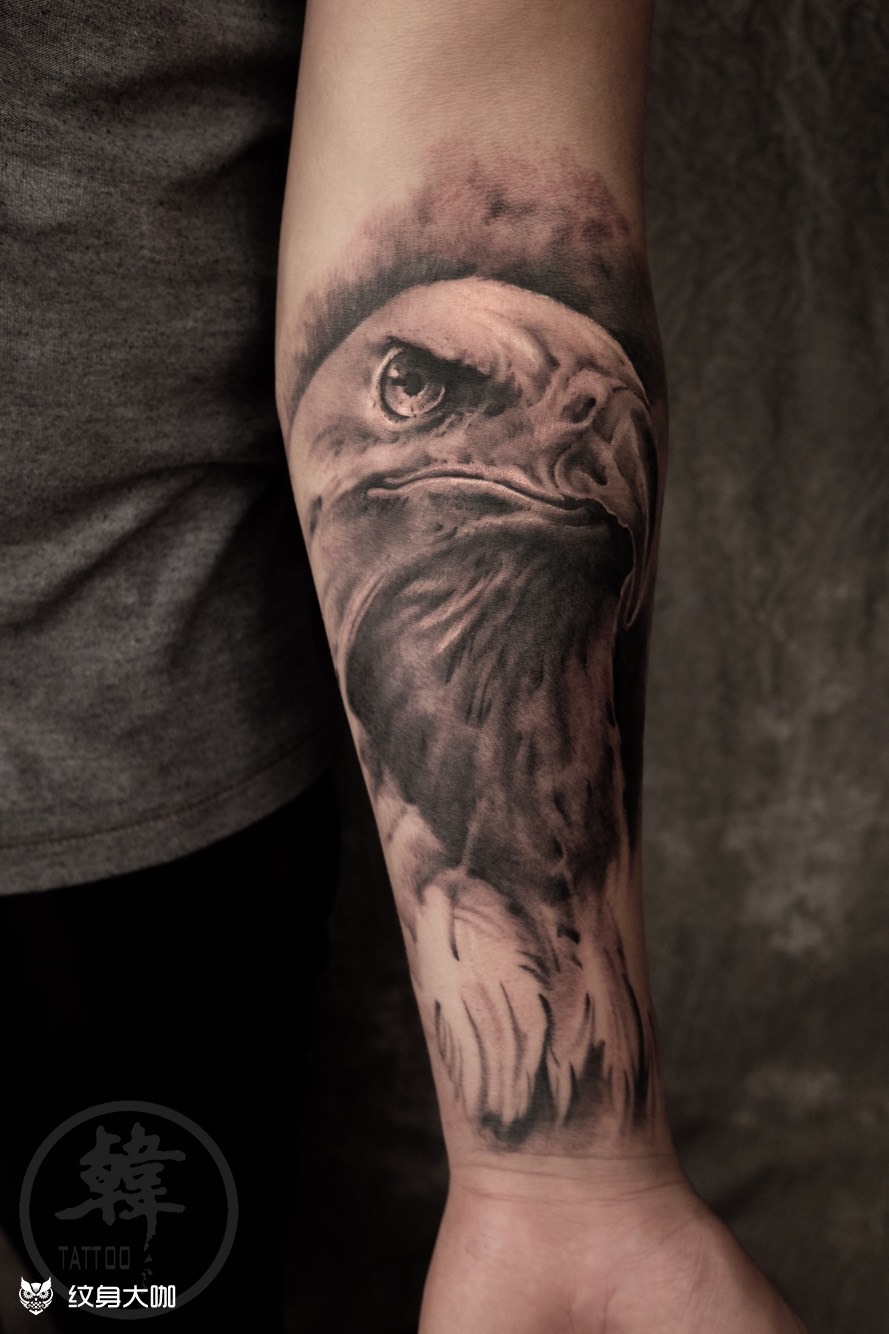 小臂,鹰_纹身图案手稿图片_小马gavin的纹身作品集