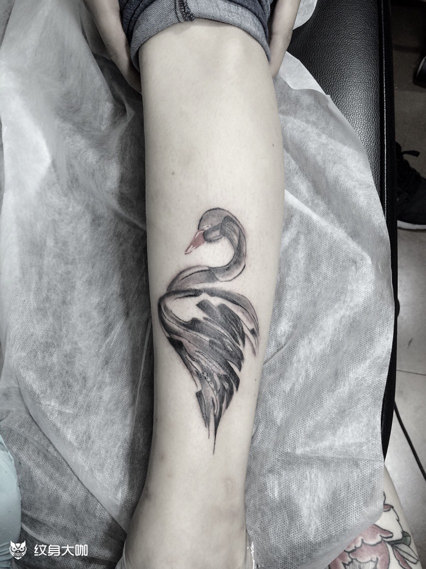 天鹅_纹身图案手稿图片_杜荧滢的纹身作品集