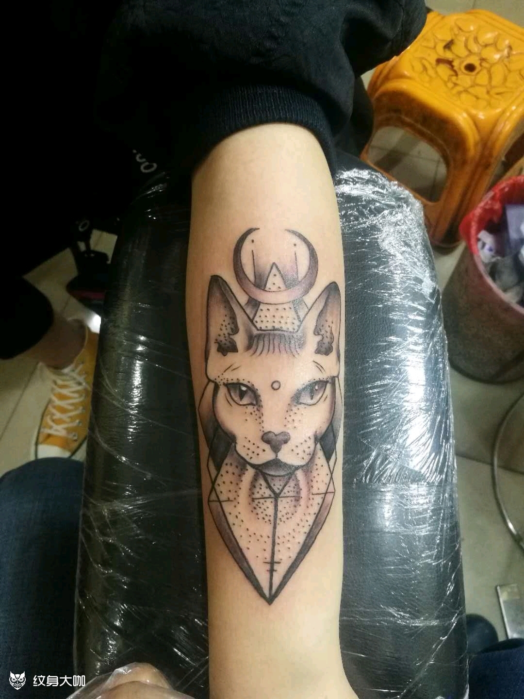 猫头_纹身图案手稿图片_飞扬阿德的纹身作品集